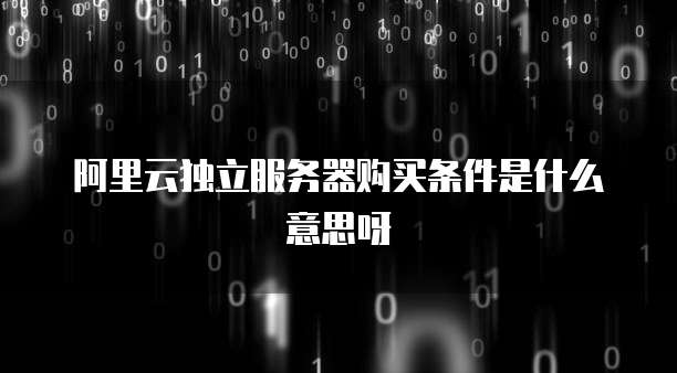阿里云独立服务器购买条件是什么意思呀