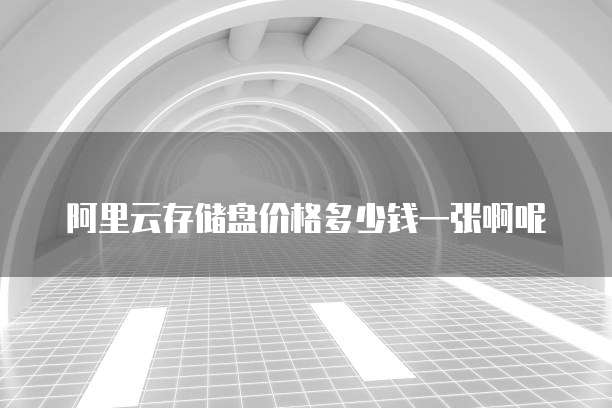 阿里云存储盘价格多少钱一张啊呢