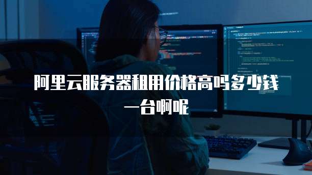 阿里云服务器租用价格高吗多少钱一台啊呢
