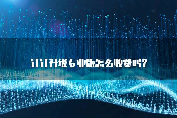 钉钉升级专业版怎么收费吗?