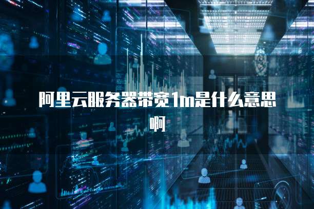 阿里云服务器带宽1m是什么意思啊