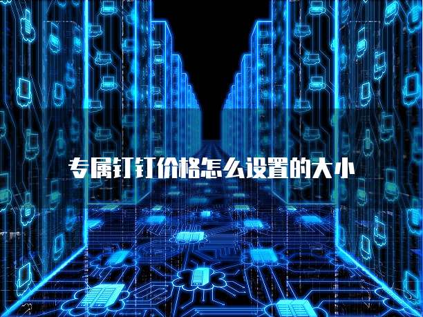专属钉钉价格怎么设置的大小