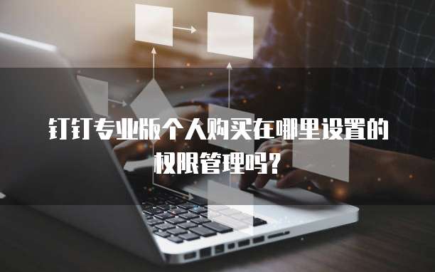 钉钉专业版个人购买在哪里设置的权限管理吗?