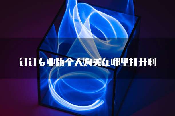 钉钉专业版个人购买在哪里打开啊