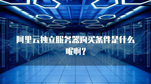 阿里云独立服务器购买条件是什么呢啊?