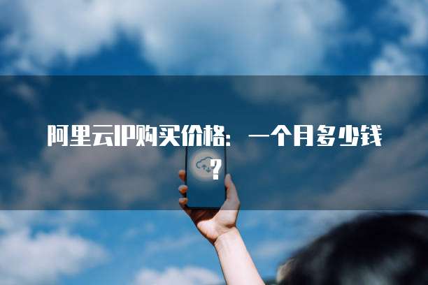 阿里云IP购买价格:一个月多少钱?