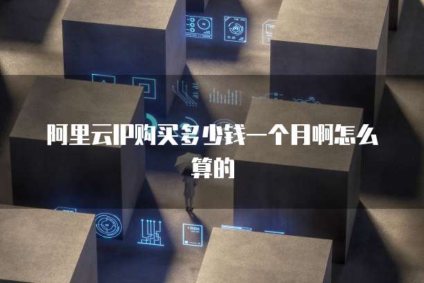 阿里云IP购买多少钱一个月啊怎么算的