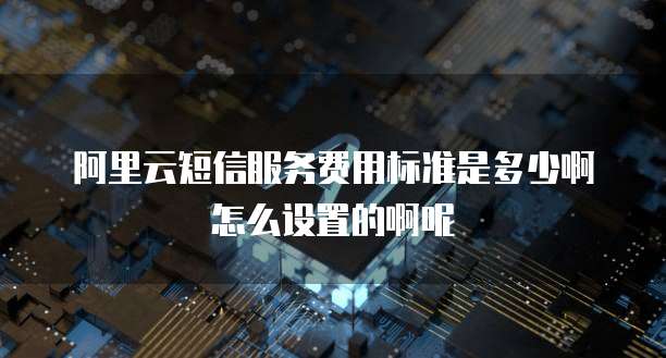 阿里云短信服务费用标准是多少啊怎么设置的啊呢