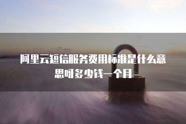 阿里云短信服务费用标准是什么意思呀多少钱一个月