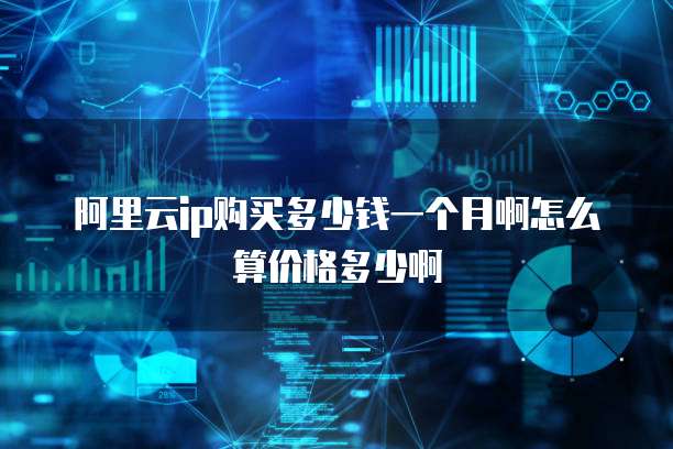 阿里云ip购买多少钱一个月啊怎么算价格多少啊