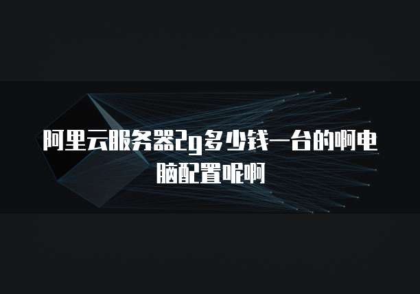 阿里云服务器2g多少钱一台的啊电脑配置呢啊