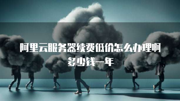 阿里云服务器续费低价怎么办理啊多少钱一年