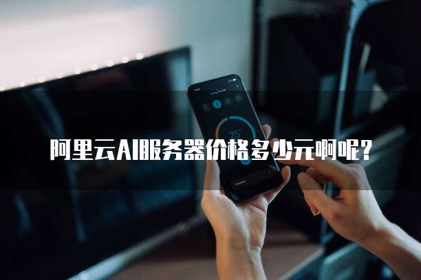 阿里云AI服务器价格多少元啊呢?