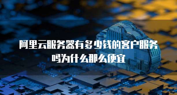阿里云服务器有多少钱的客户服务吗为什么那么便宜