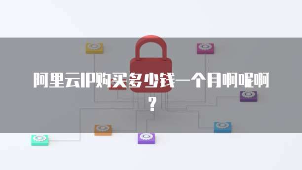 阿里云IP购买多少钱一个月啊呢啊?