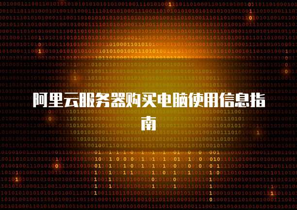 阿里云服务器购买电脑使用信息指南