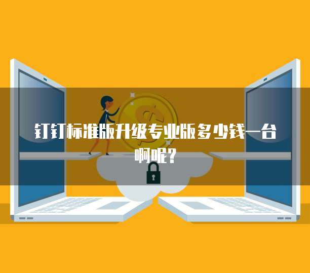 钉钉标准版升级专业版多少钱一台啊呢？