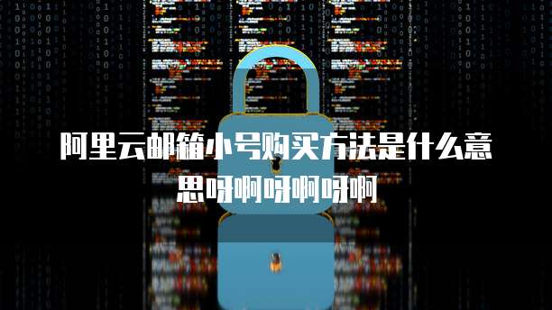 阿里云邮箱小号购买方法是什么意思呀啊呀啊呀啊