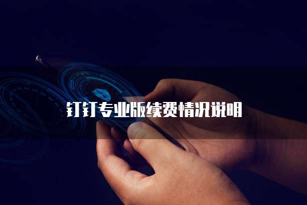 钉钉专业版续费情况说明