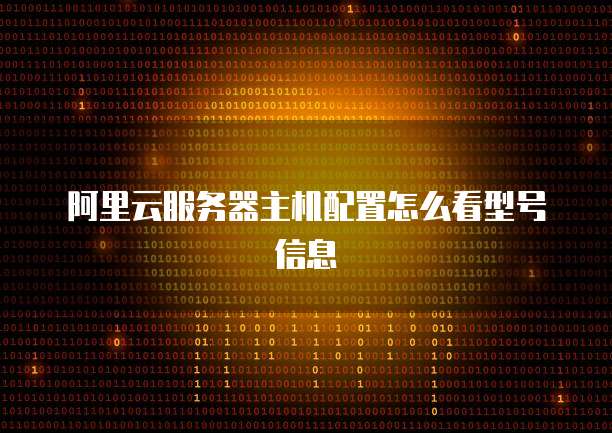 阿里云服务器主机配置怎么看型号信息