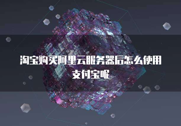 淘宝购买阿里云服务器后怎么使用支付宝呢