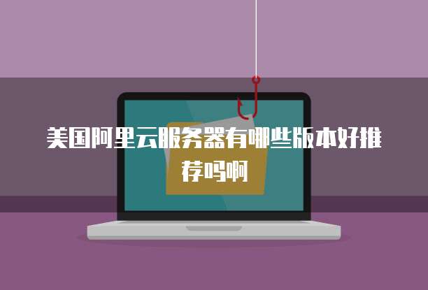 美国阿里云服务器有哪些版本好推荐吗啊
