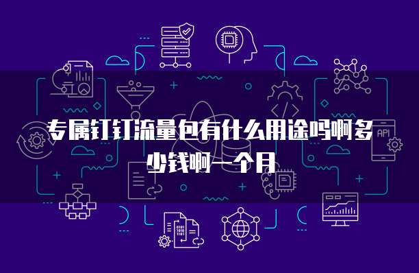 专属钉钉流量包有什么用途吗啊多少钱啊一个月