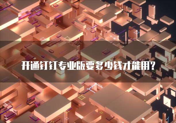 开通钉钉专业版要多少钱才能用？