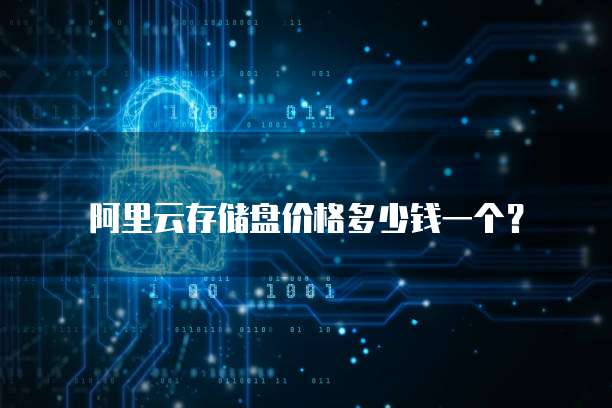 阿里云存储盘价格多少钱一个?