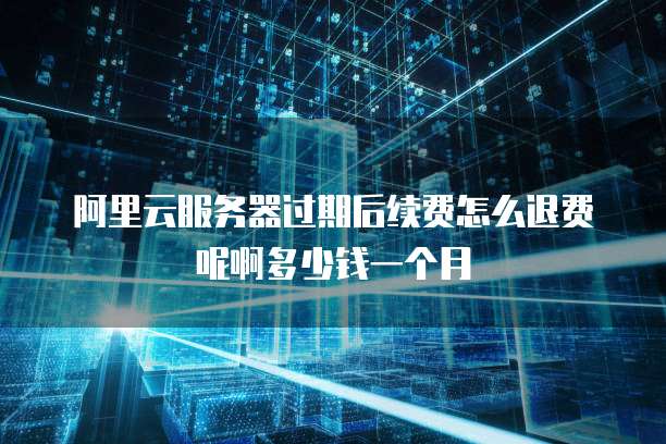 阿里云服务器过期后续费怎么退费呢啊多少钱一个月
