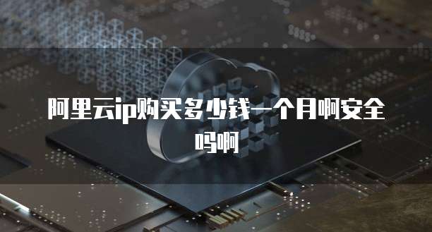 阿里云ip购买多少钱一个月啊安全吗啊