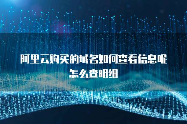 阿里云购买的域名如何查看信息呢怎么查明细
