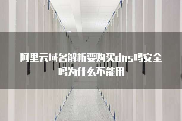 阿里云域名解析要购买dns吗安全吗为什么不能用