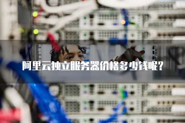 阿里云独立服务器价格多少钱呢?