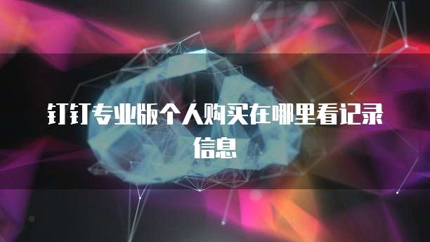 钉钉专业版个人购买在哪里看记录信息