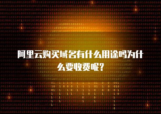 阿里云购买域名有什么用途吗为什么要收费呢?