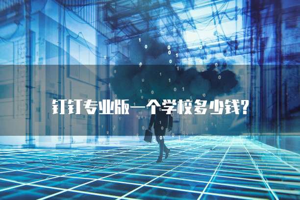 钉钉专业版一个学校多少钱?
