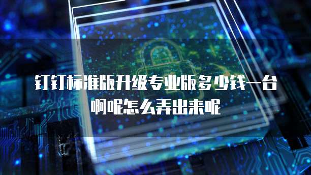 钉钉标准版升级专业版多少钱一台啊呢怎么弄出来呢