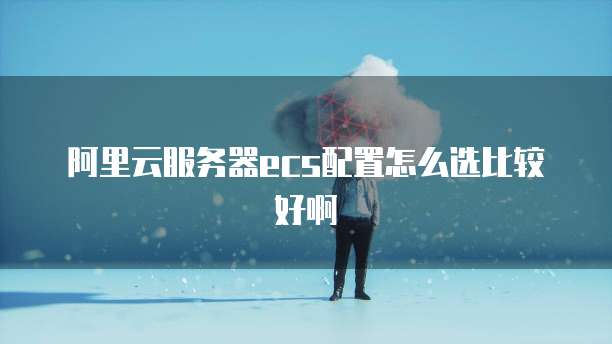 阿里云服务器ecs配置怎么选比较好啊