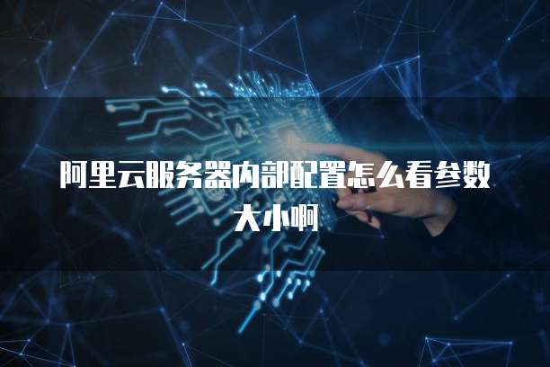 阿里云服务器内部配置怎么看参数大小啊