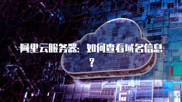 阿里云服务器:如何查看域名信息?