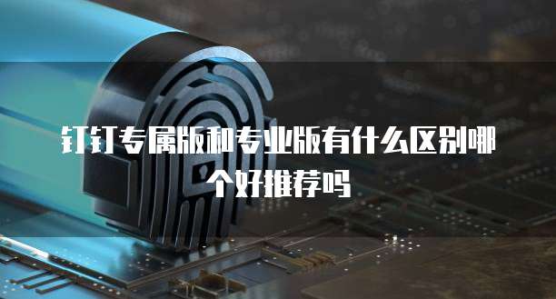 钉钉专属版和专业版有什么区别哪个好推荐吗