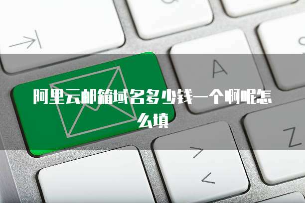 阿里云邮箱域名多少钱一个啊呢怎么填