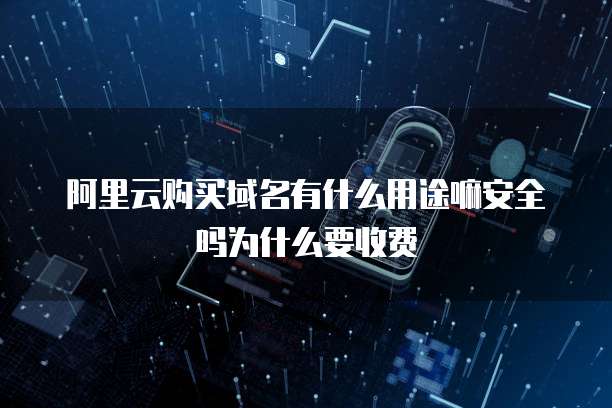 阿里云购买域名有什么用途嘛安全吗为什么要收费