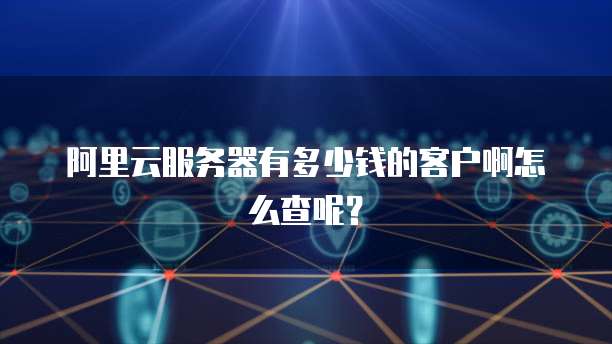 阿里云服务器有多少钱的客户啊怎么查呢?