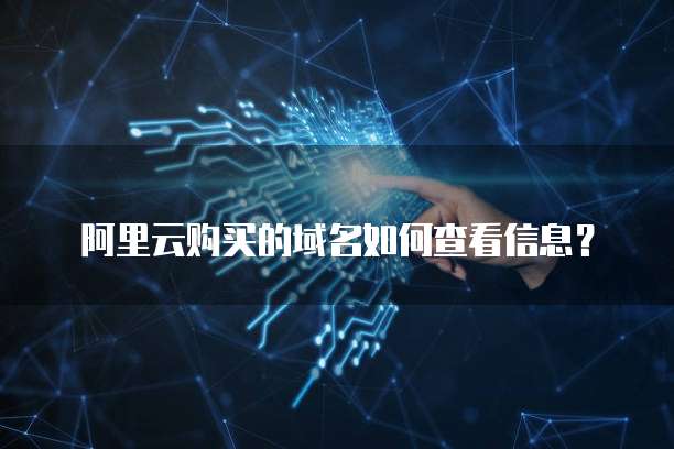 阿里云购买的域名如何查看信息?