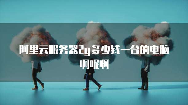 阿里云服务器2g多少钱一台的电脑啊呢啊