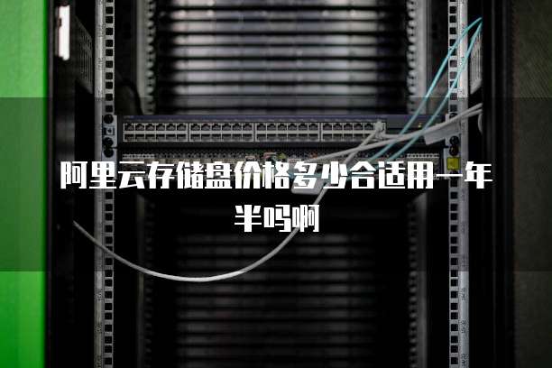 阿里云存储盘价格多少合适用一年半吗啊