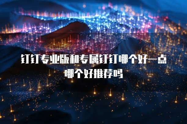 钉钉专业版和专属钉钉哪个好一点哪个好推荐吗