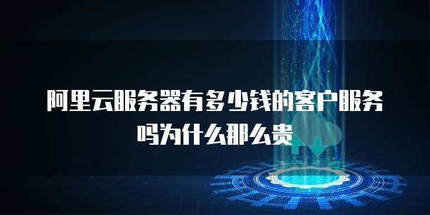 阿里云服务器有多少钱的客户服务吗为什么那么贵